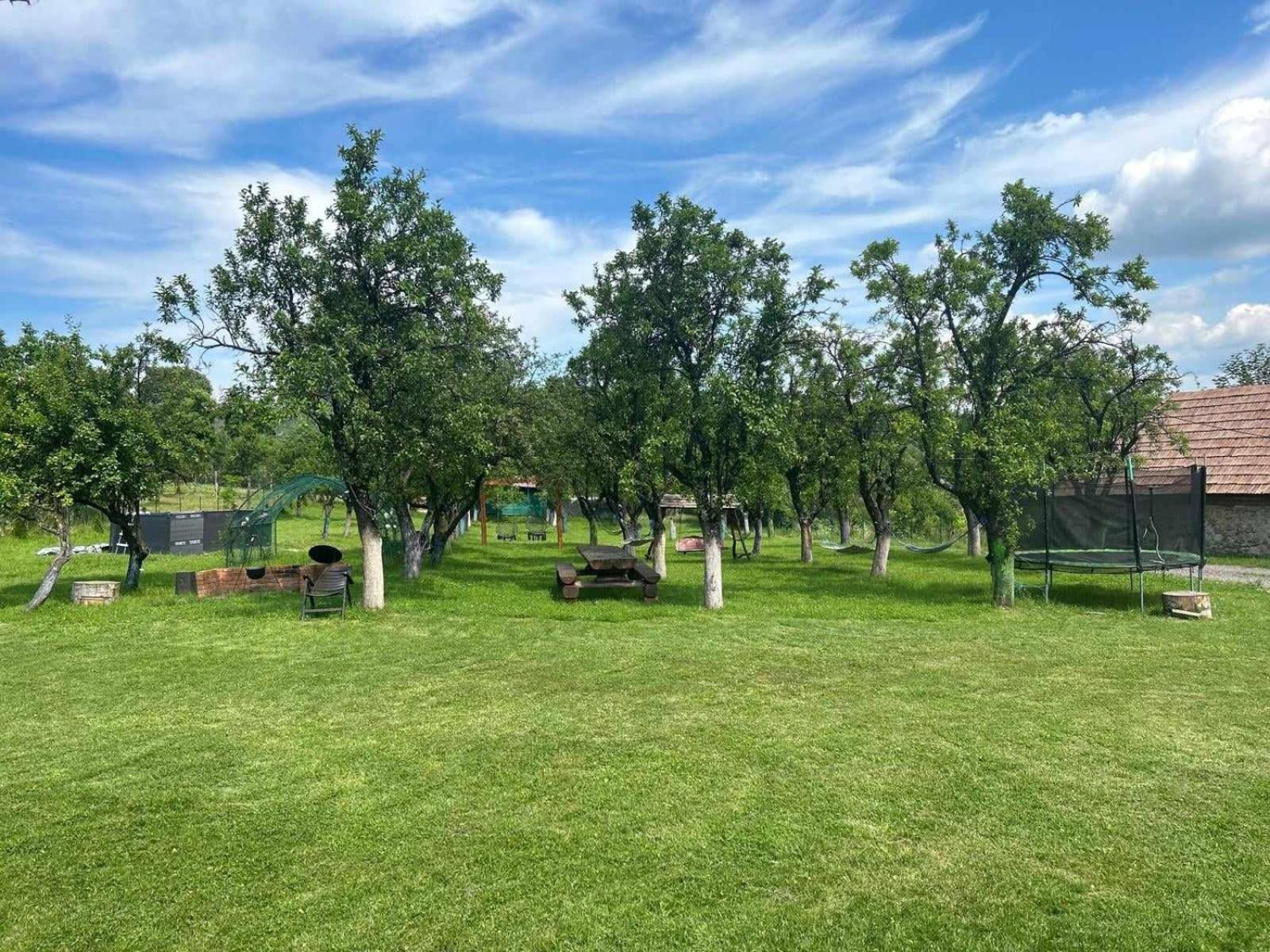 Agropensiunea Darden Baia de Fier Εξωτερικό φωτογραφία
